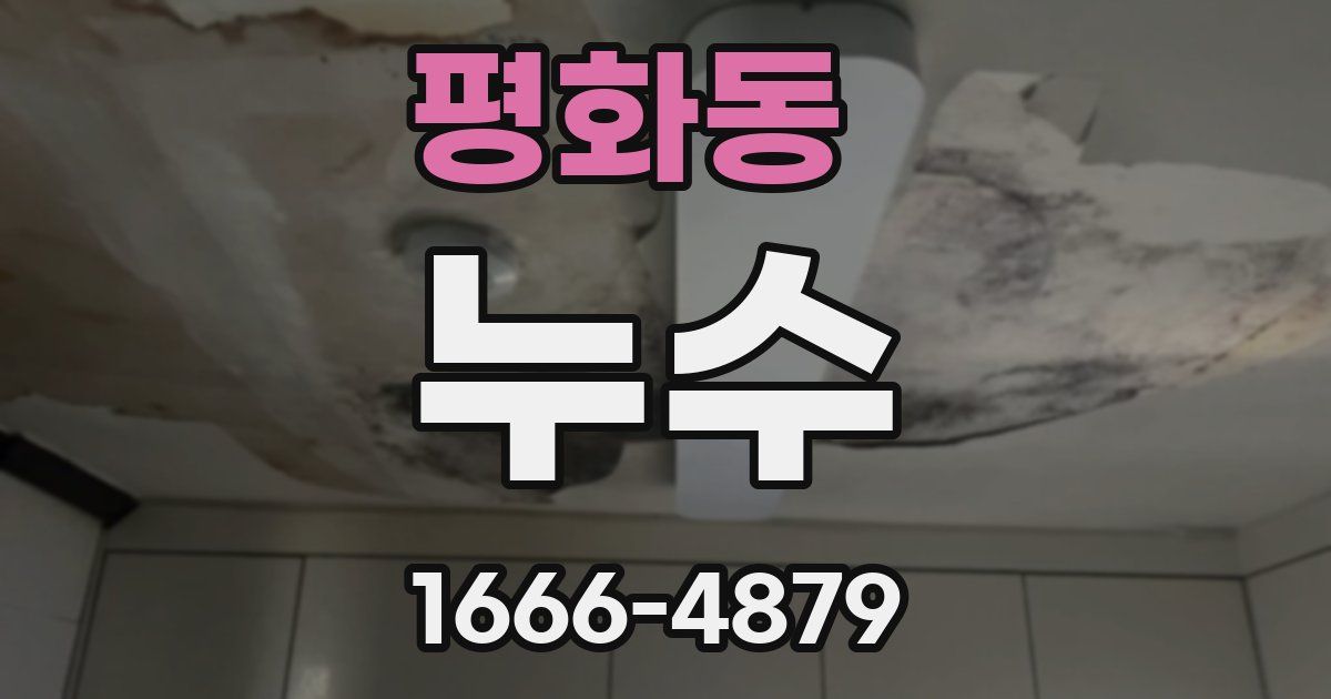 평화동 누수
