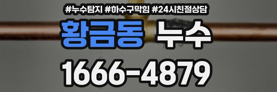 황금동 누수