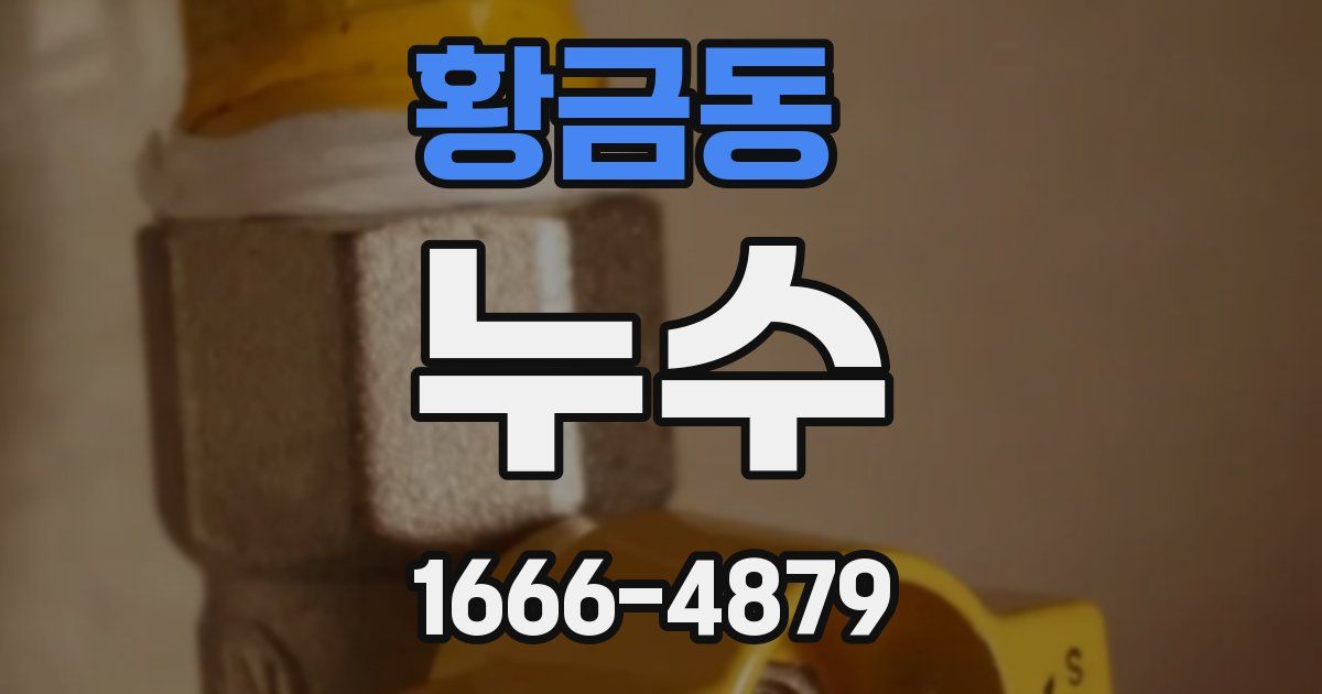 황금동 누수