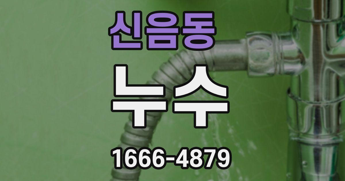 신음동 누수