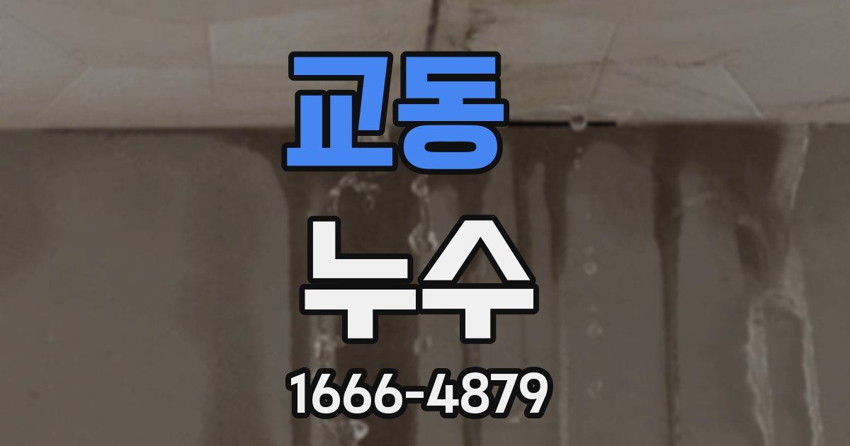 교동 누수