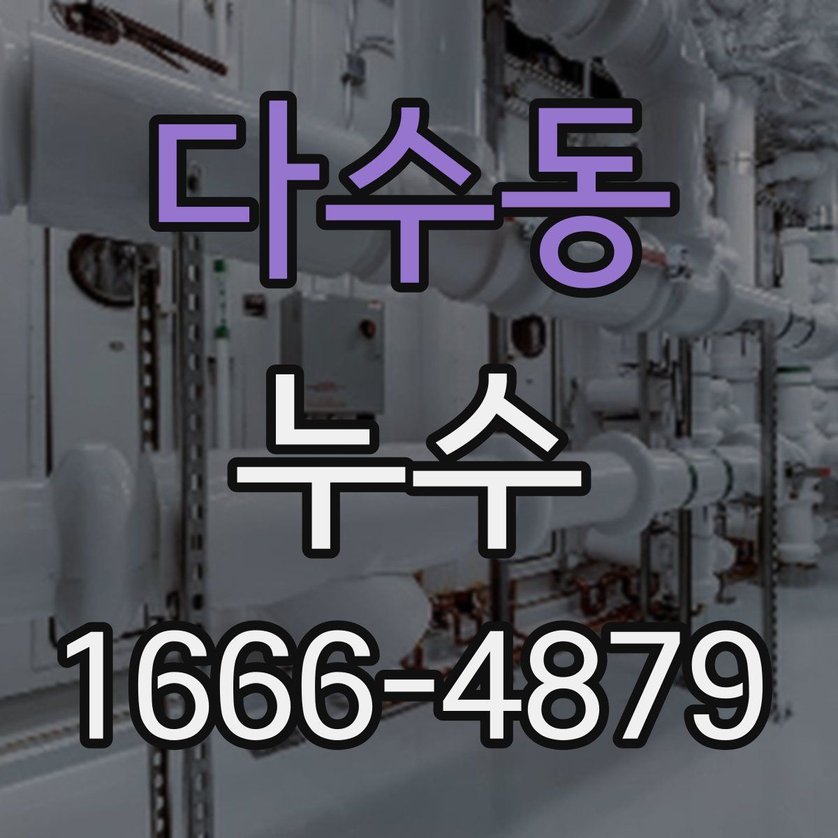 다수동 누수