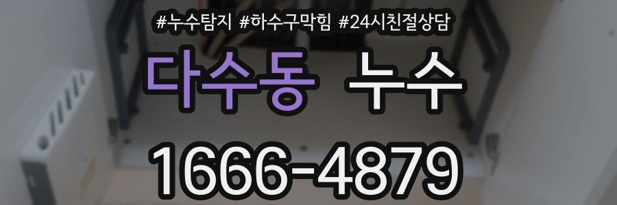 다수동 누수