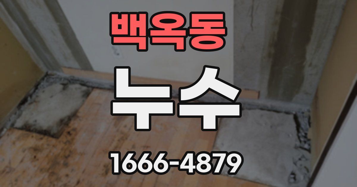 백옥동 누수