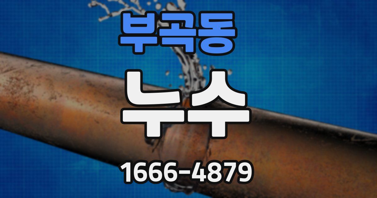 부곡동 누수