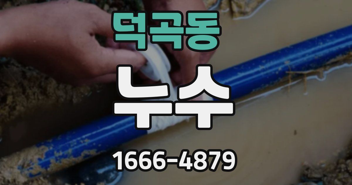덕곡동 누수