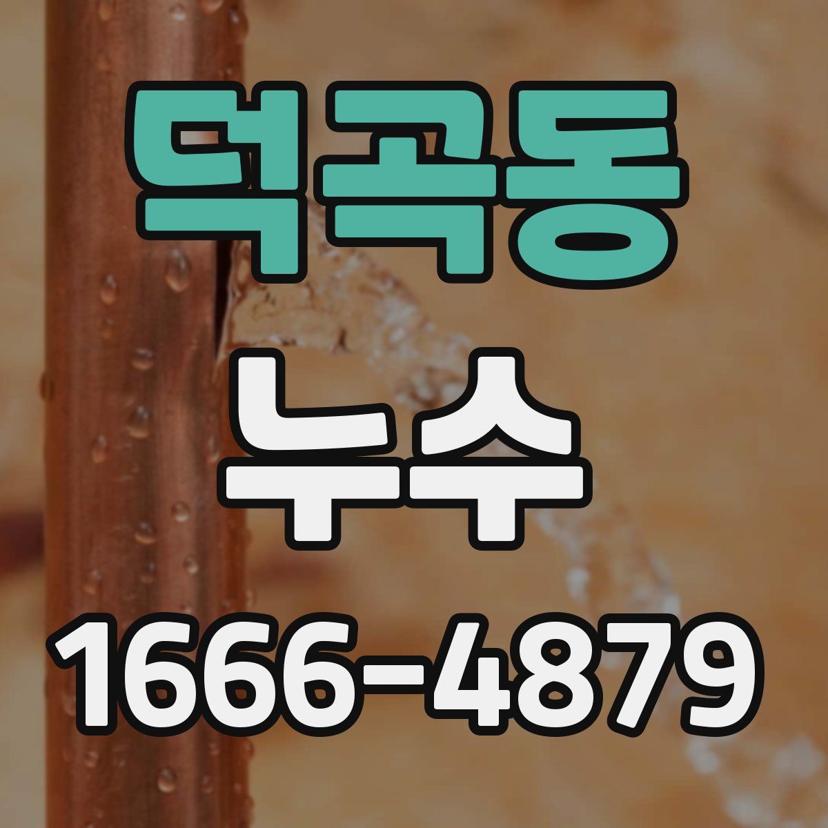 덕곡동 누수