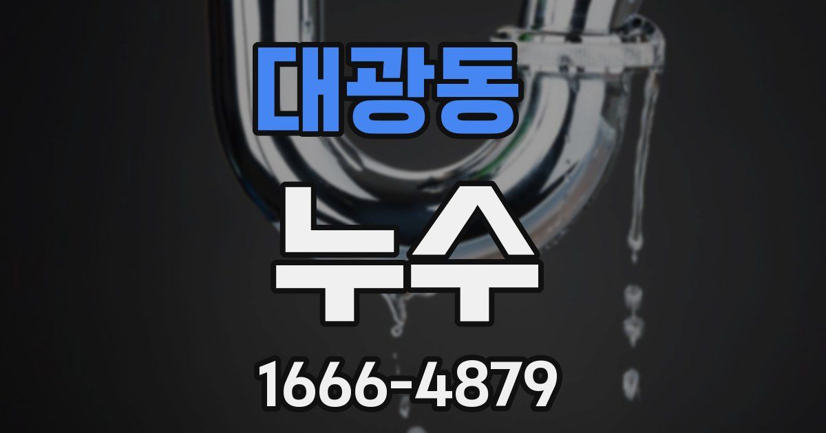 대광동 누수