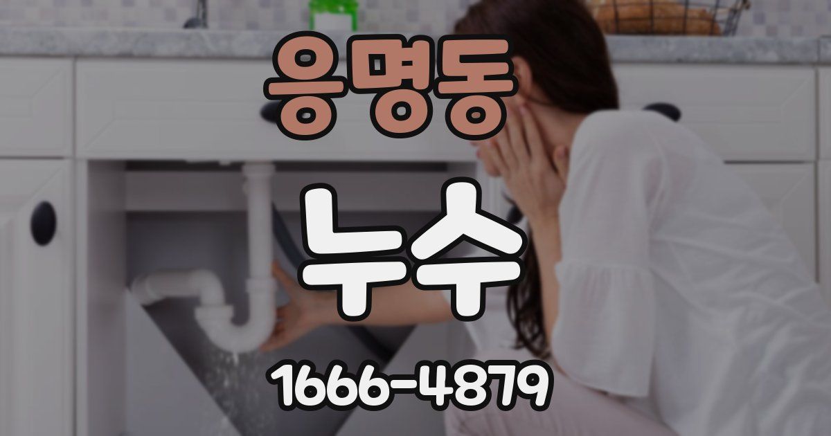 응명동 누수