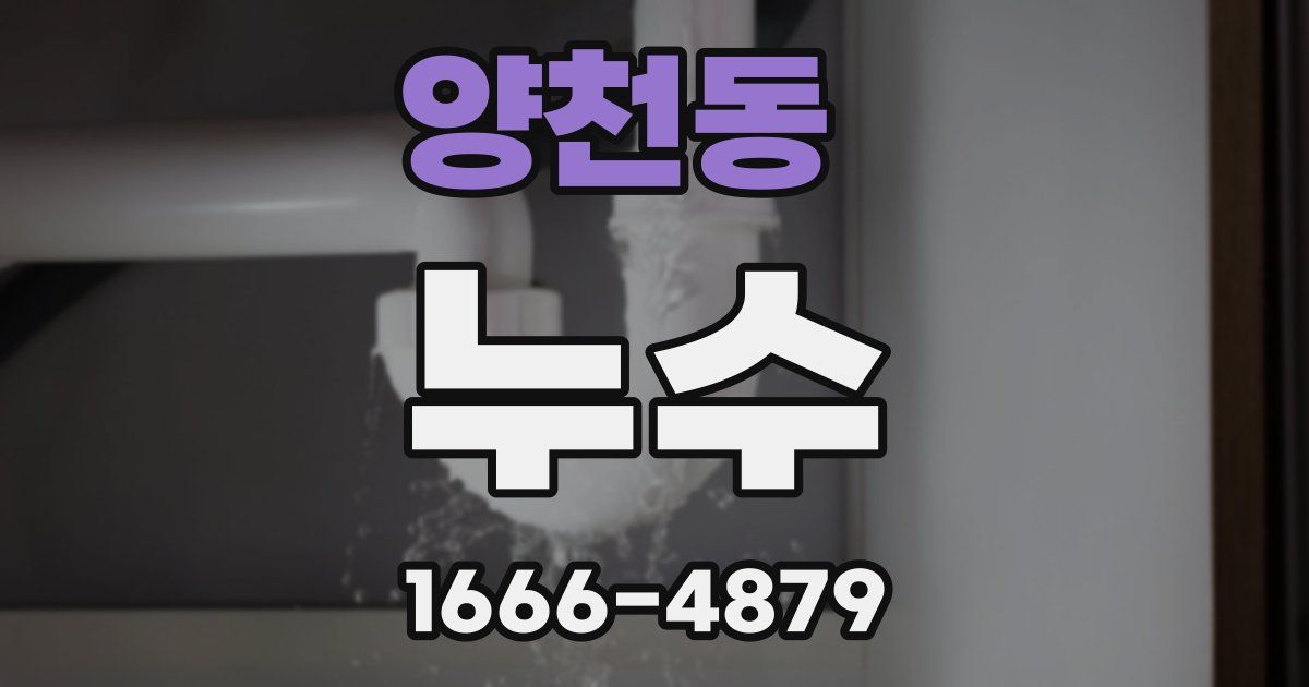 양천동 누수