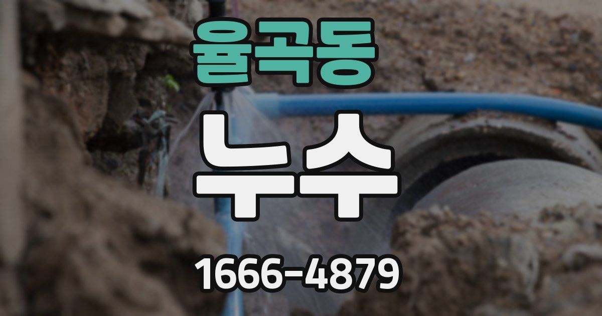 율곡동 누수