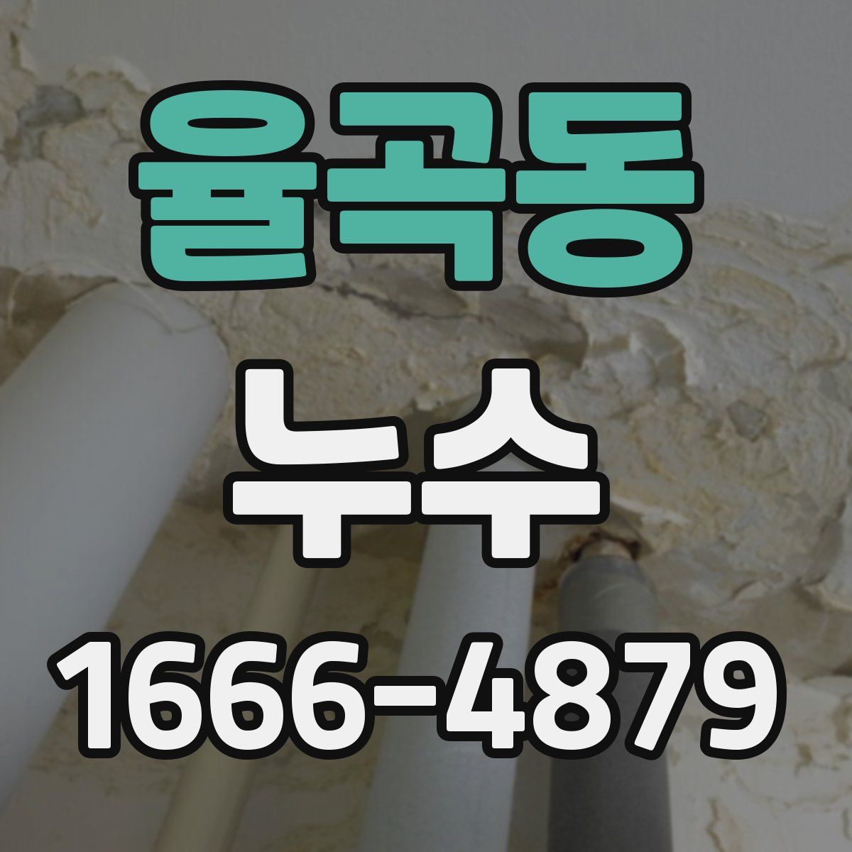율곡동 누수