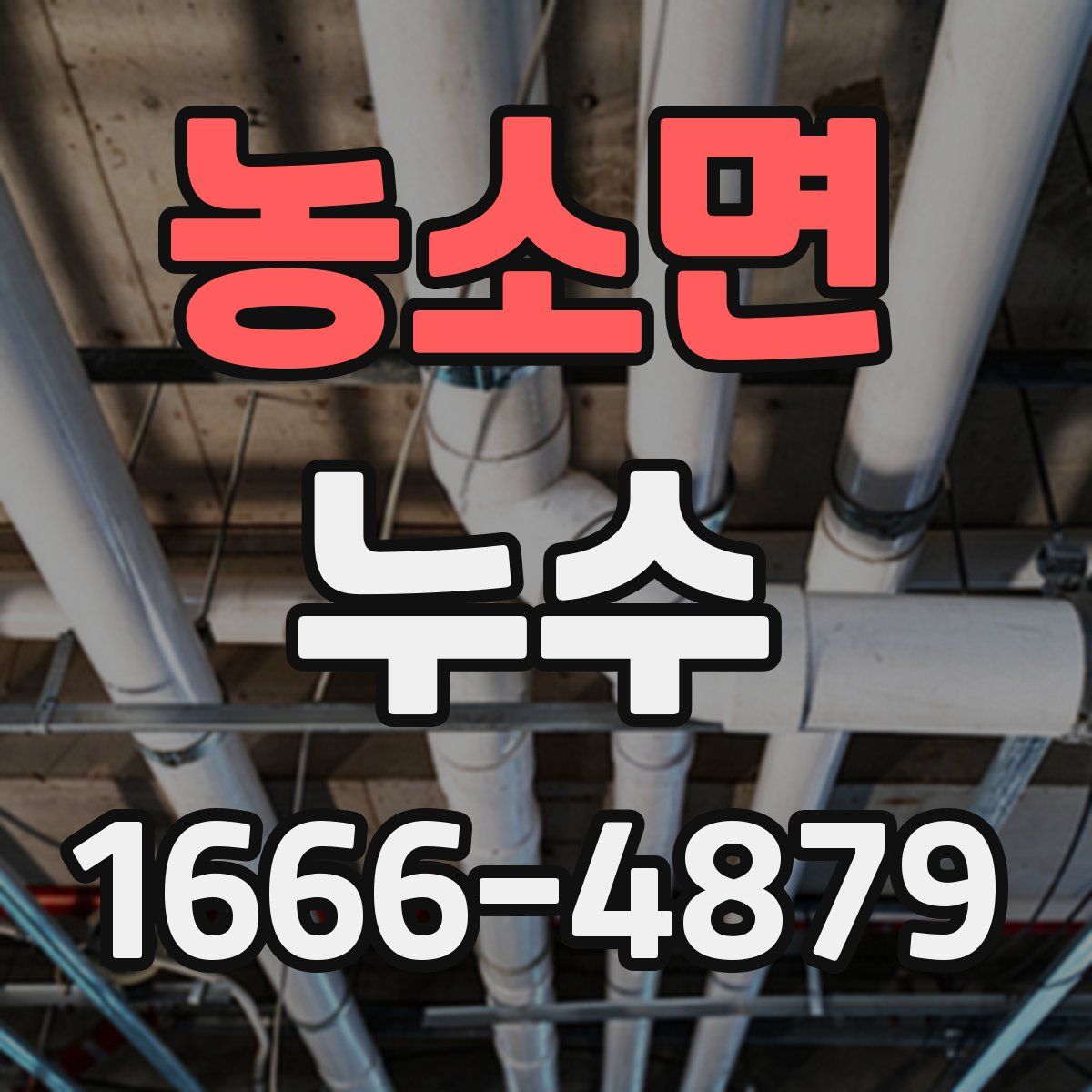 농소면 누수