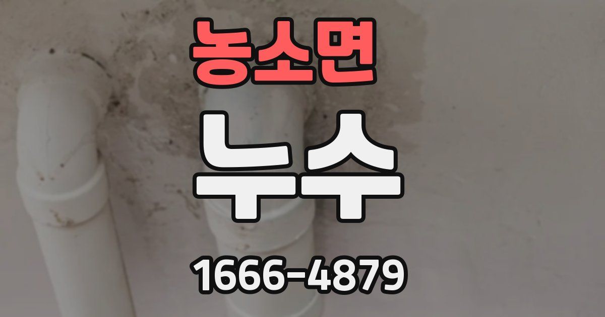 농소면 누수