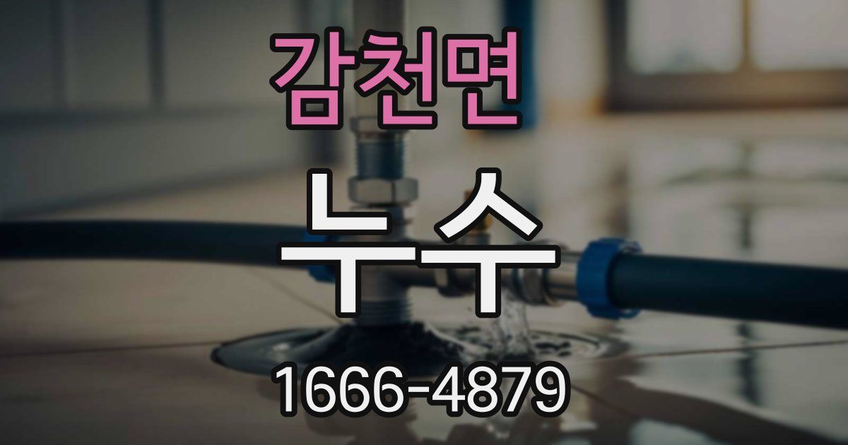 감천면 누수