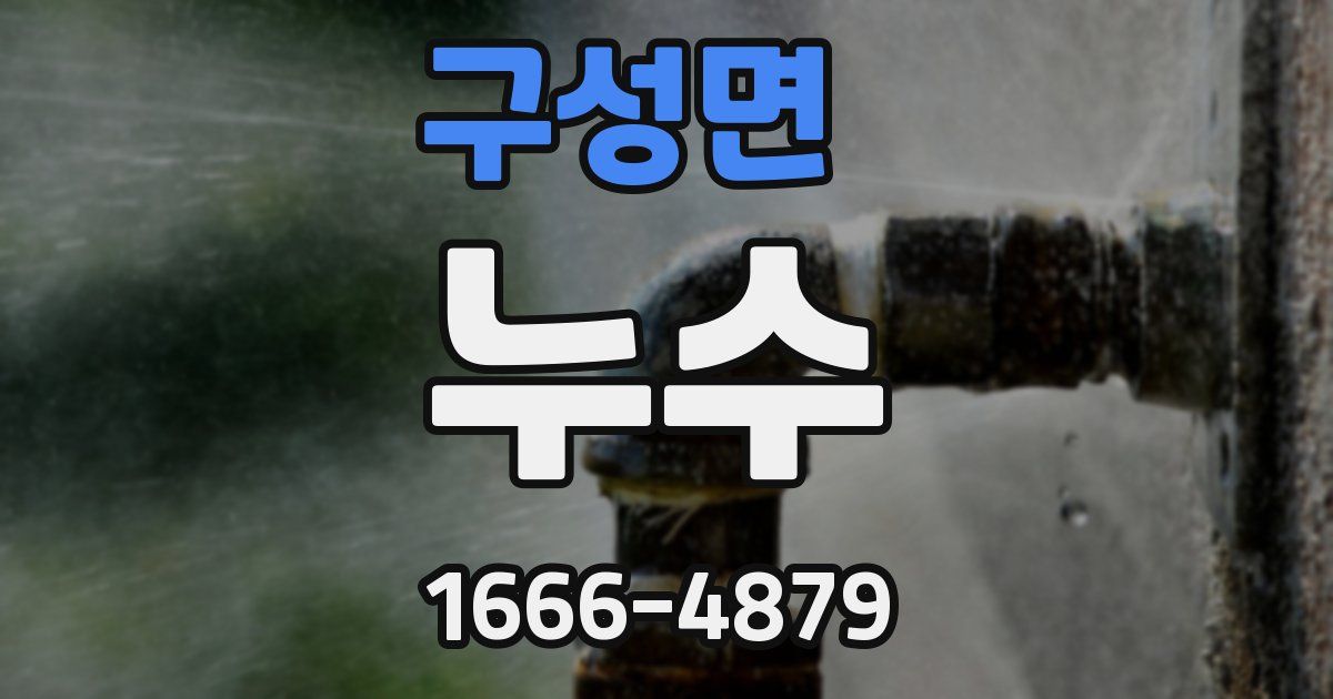 구성면 누수