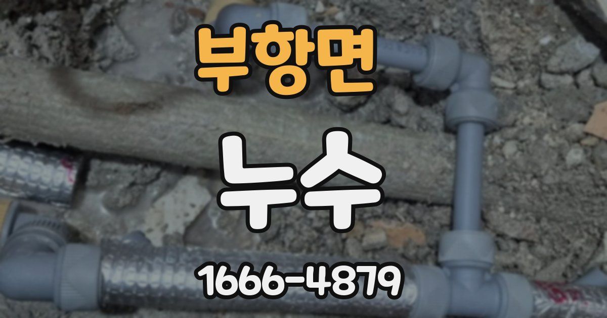 부항면 누수