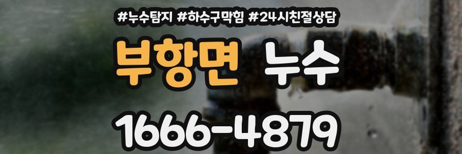 부항면 누수