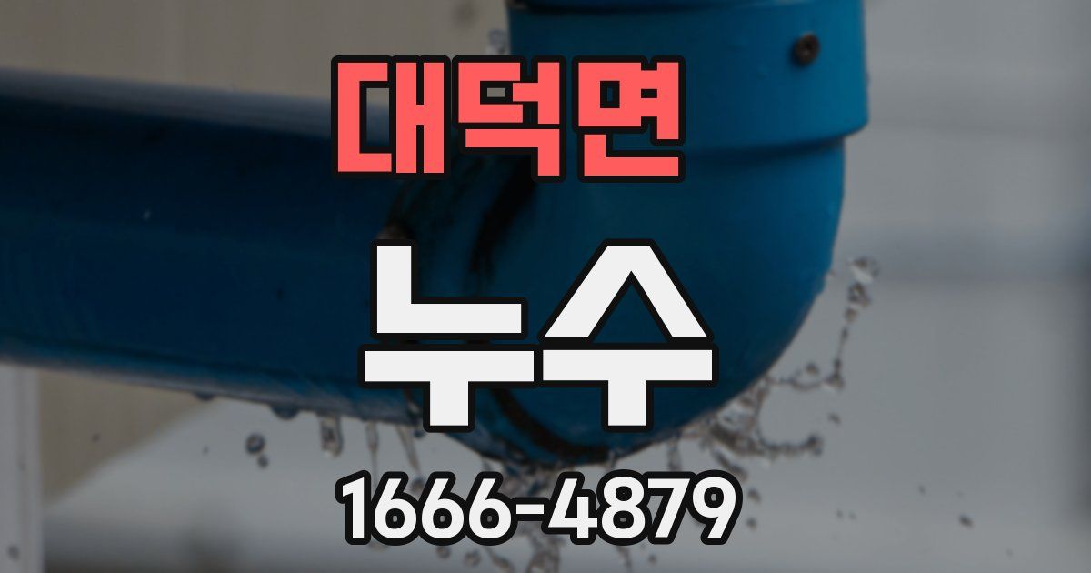 대덕면 누수