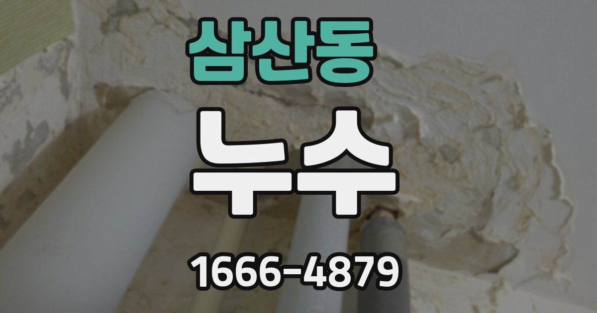 삼산동 누수