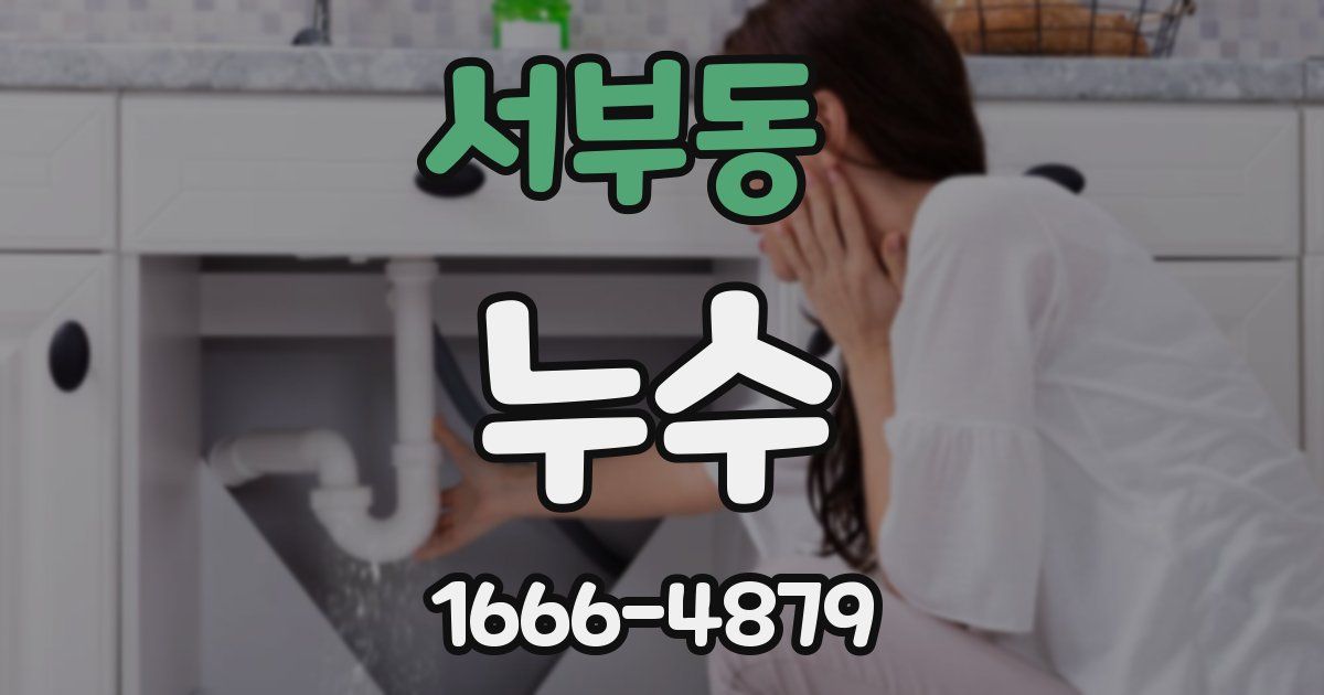 서부동 누수