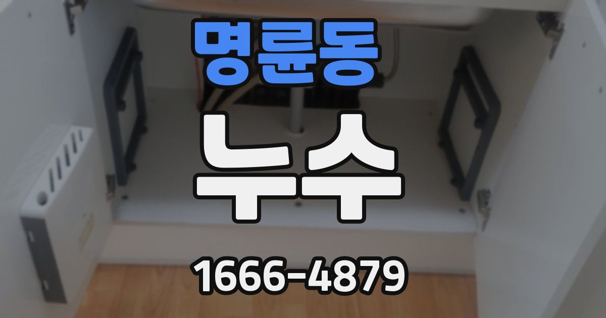 명륜동 누수