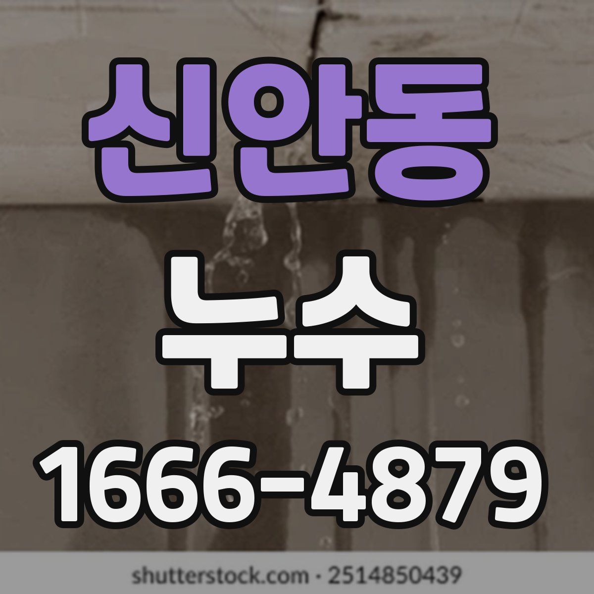 신안동 누수