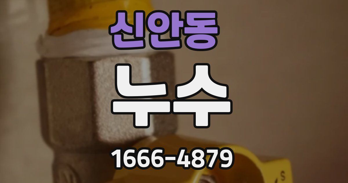 신안동 누수