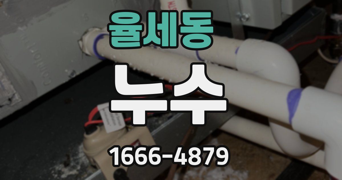 율세동 누수