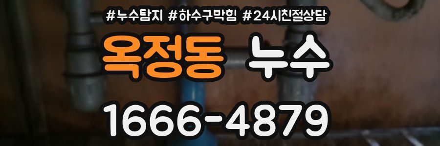 옥정동 누수