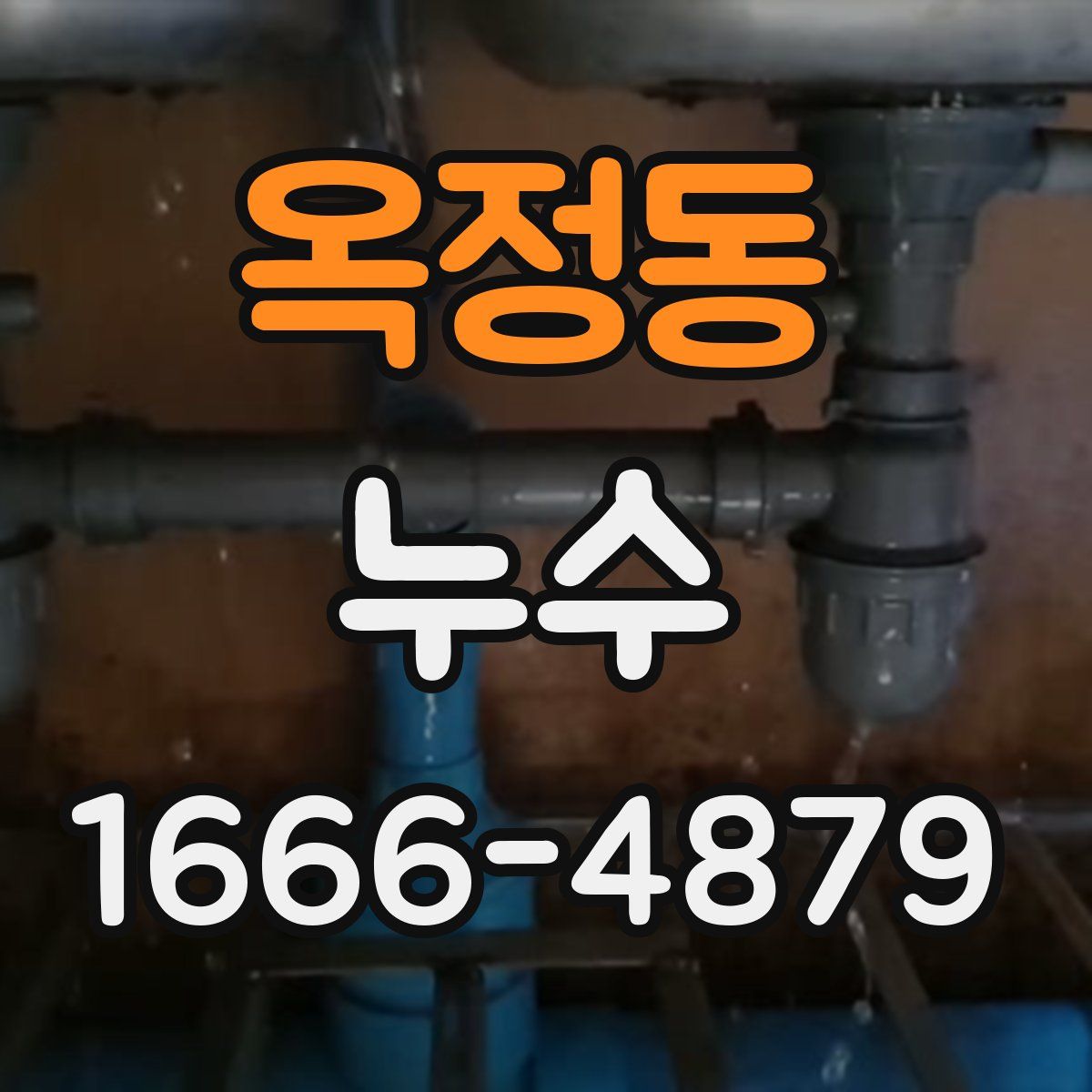 옥정동 누수