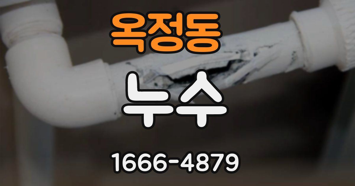 옥정동 누수
