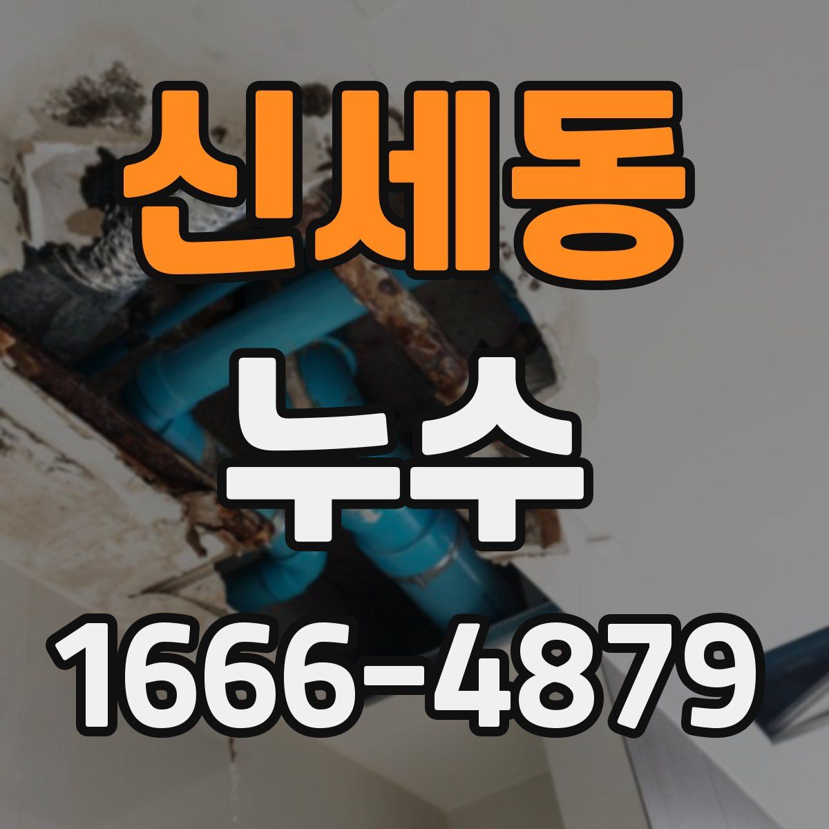 신세동 누수