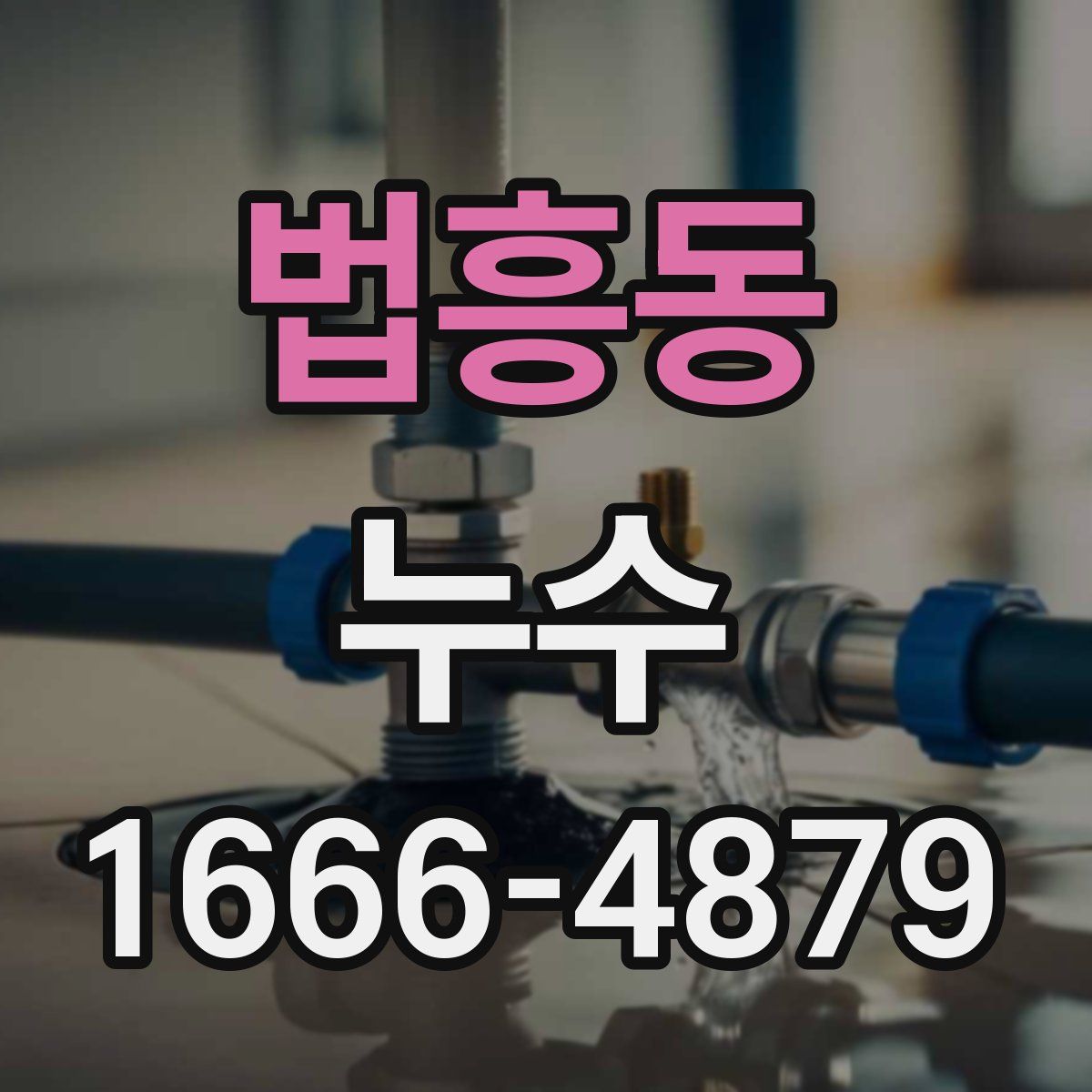 법흥동 누수