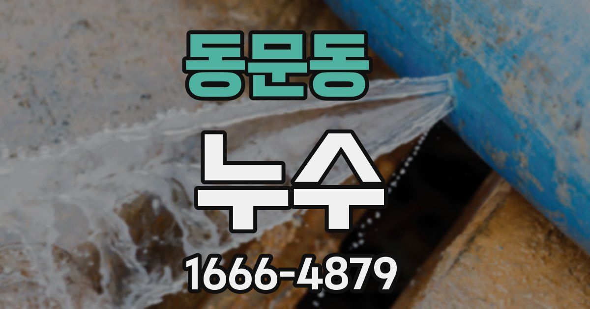 동문동 누수