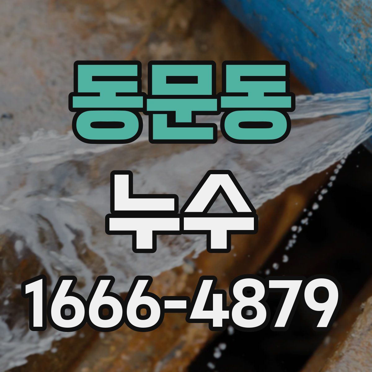 동문동 누수