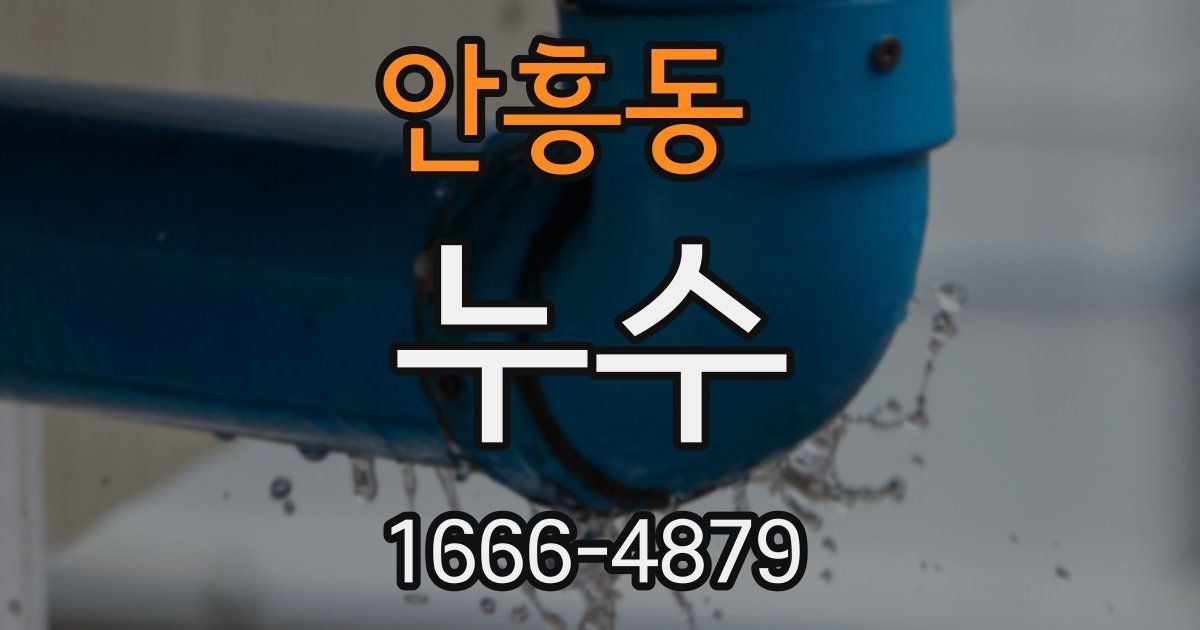 안흥동 누수