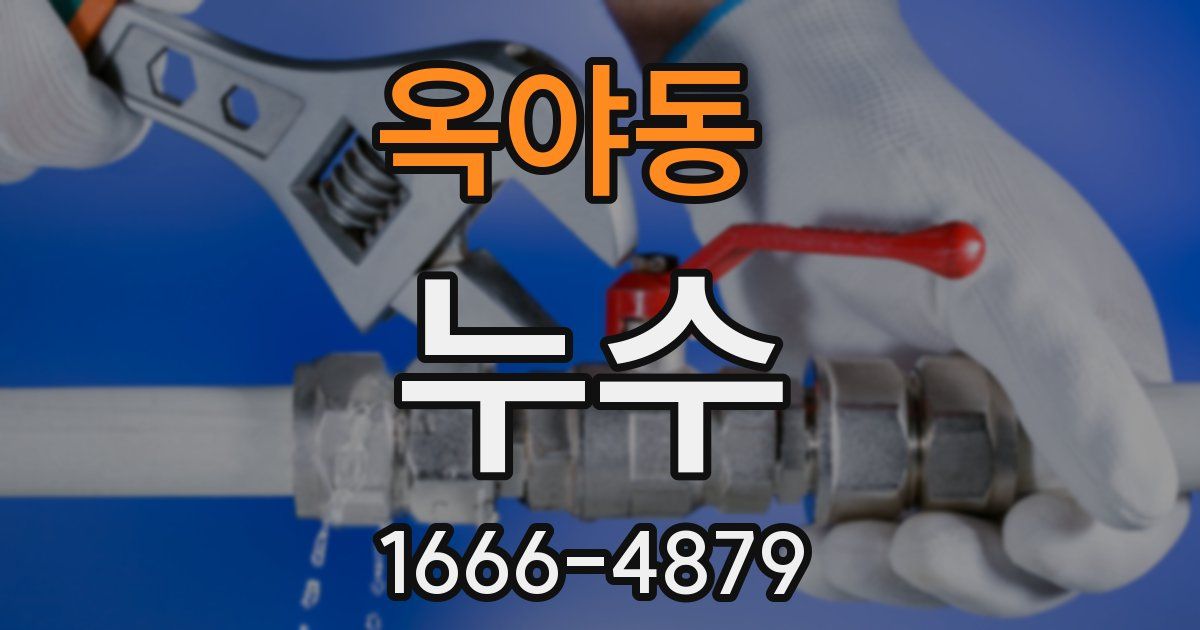 옥야동 누수