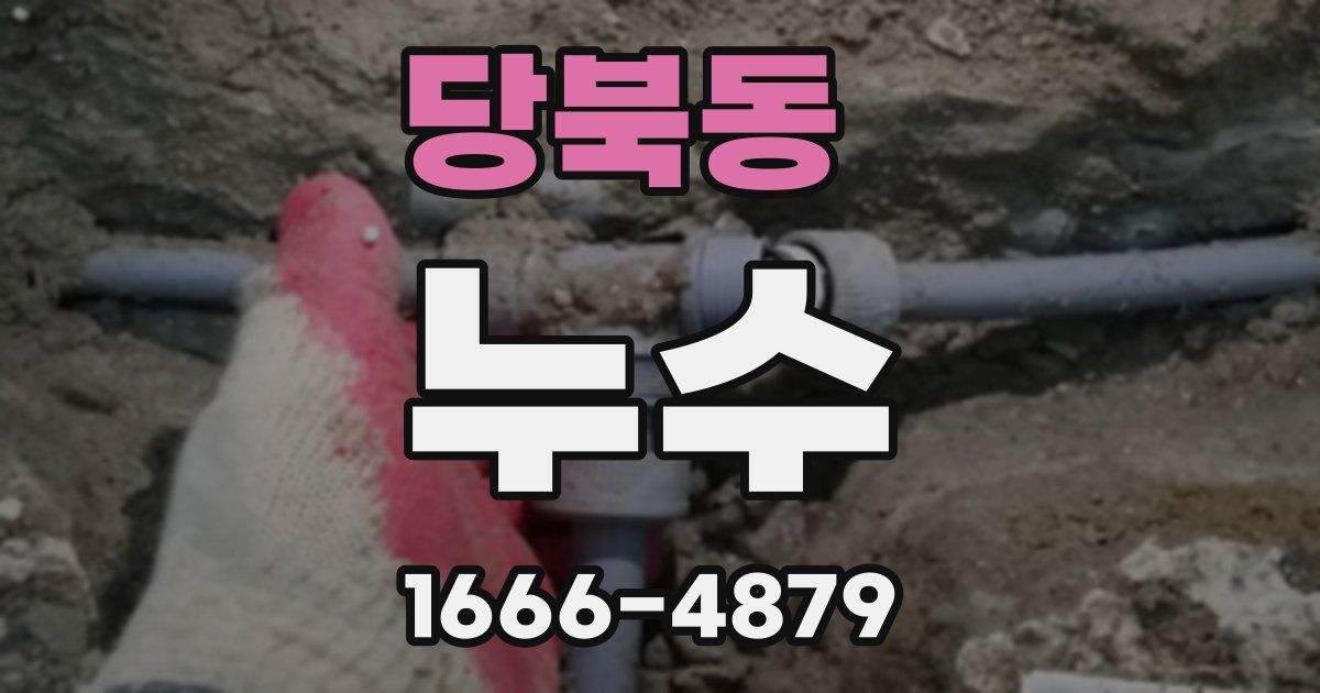 당북동 누수