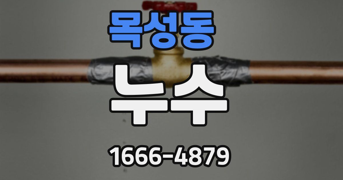 목성동 누수