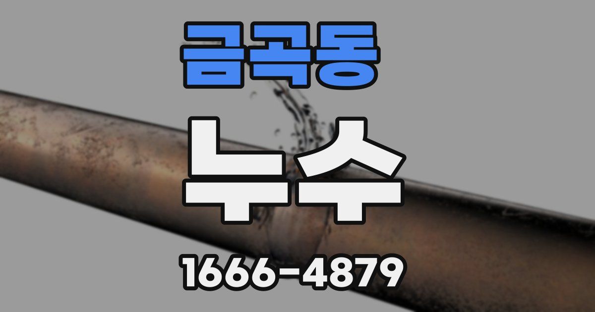 금곡동 누수