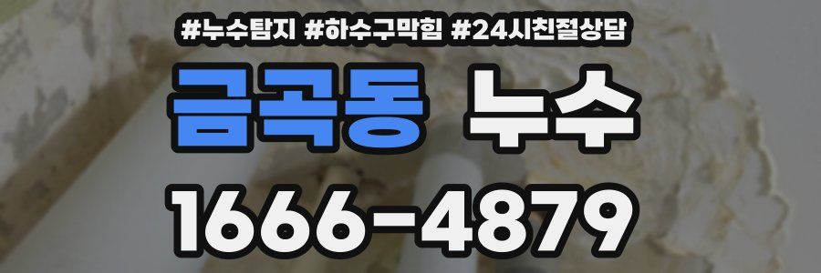 금곡동 누수