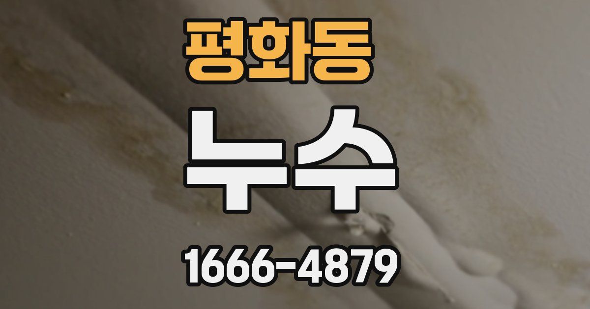 평화동 누수