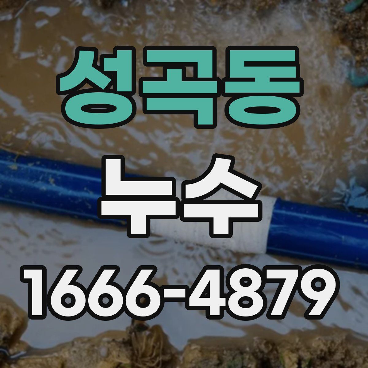 성곡동 누수