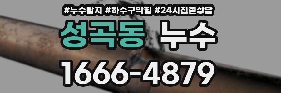 성곡동 누수