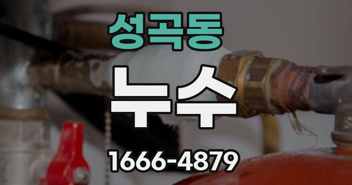 성곡동 누수