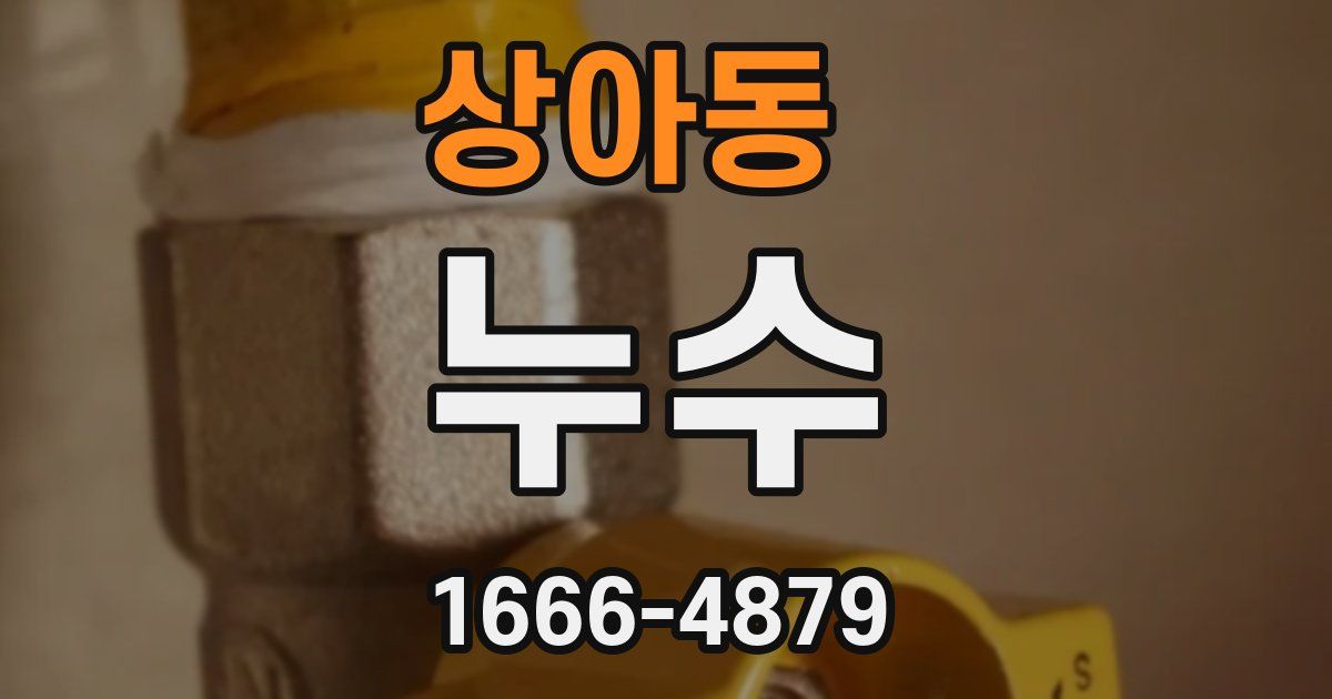 상아동 누수