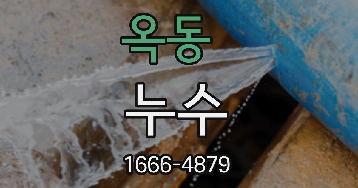 옥동 누수