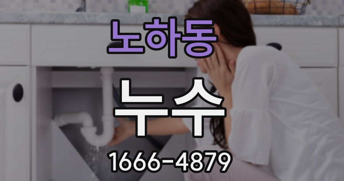 노하동 누수
