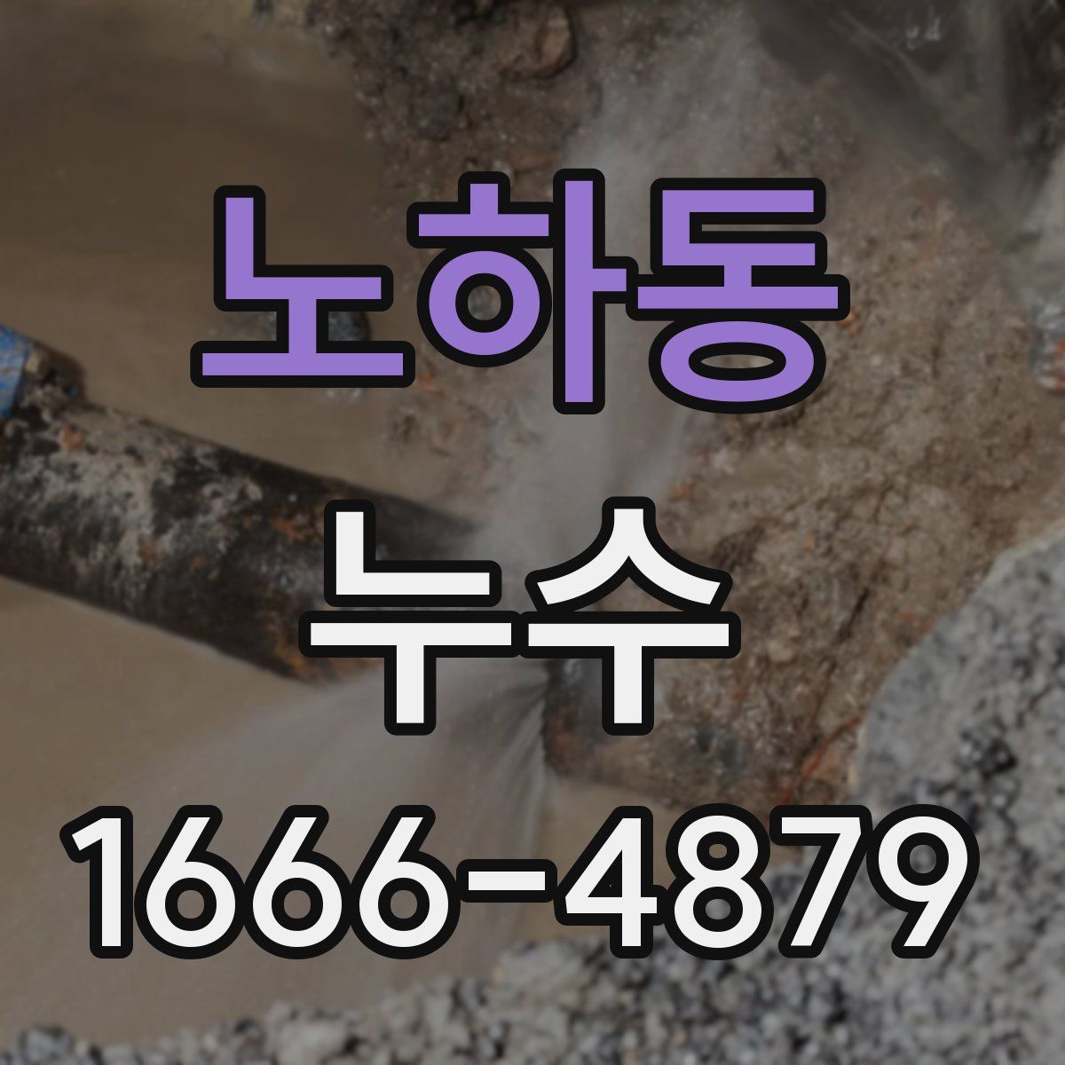 노하동 누수
